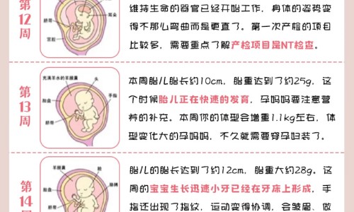 白血病病人可以吃元胡止痛片吗网-分享白血病能喝元秘D吗，白血病病人可以吃元胡止痛片吗知识库