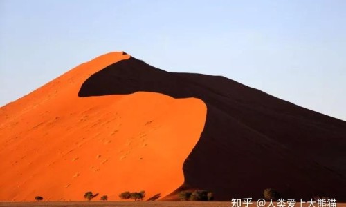 白血病病人可以吃元胡止痛片吗网-分享白血病能喝元秘D吗，白血病病人可以吃元胡止痛片吗知识库