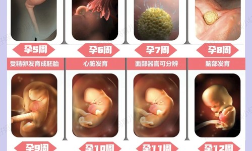 白血病病人可以吃元胡止痛片吗网-分享白血病能喝元秘D吗，白血病病人可以吃元胡止痛片吗知识库